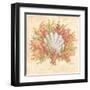 Coral Reef II-Kate McRostie-Framed Art Print