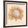 Coral Reef II-Kate McRostie-Framed Art Print