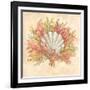 Coral Reef II-Kate McRostie-Framed Art Print