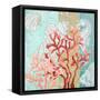 Coral Reef II-Patricia Pinto-Framed Stretched Canvas
