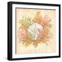 Coral Reef IV-Kate McRostie-Framed Art Print