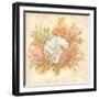 Coral Reef IV-Kate McRostie-Framed Art Print