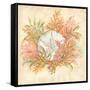 Coral Reef IV-Kate McRostie-Framed Stretched Canvas