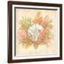 Coral Reef IV-Kate McRostie-Framed Art Print