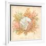 Coral Reef IV-Kate McRostie-Framed Art Print