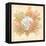 Coral Reef IV-Kate McRostie-Framed Stretched Canvas