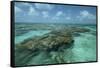 Coral Reef, Lighthouse Reef, Atoll, Belize-Pete Oxford-Framed Stretched Canvas