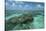 Coral Reef, Lighthouse Reef, Atoll, Belize-Pete Oxford-Stretched Canvas