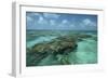 Coral Reef, Lighthouse Reef, Atoll, Belize-Pete Oxford-Framed Photographic Print