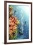 Coral Reef Red Sea, Ras Mohammed-null-Framed Photographic Print
