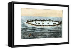 Coral Reef Surrounding a Lagoon-null-Framed Stretched Canvas