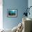 Coral Reef-Borisoff-Framed Photographic Print displayed on a wall