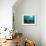 Coral Reef-Borisoff-Framed Photographic Print displayed on a wall