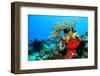 Coral Reef-AndamanSE-Framed Photographic Print