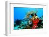 Coral Reef-AndamanSE-Framed Photographic Print