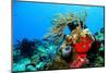 Coral Reef-AndamanSE-Mounted Photographic Print