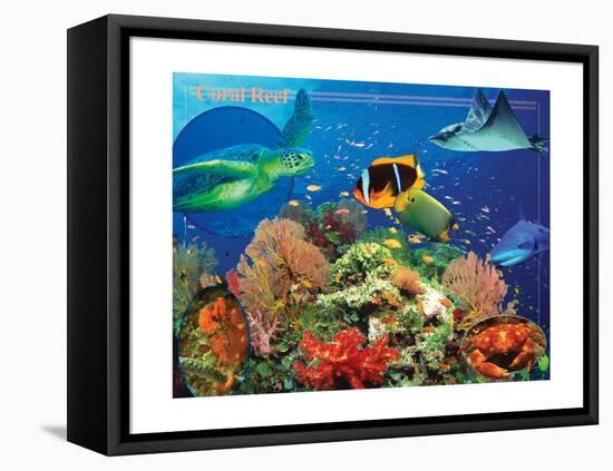 Coral Reef-Encyclopaedia Britannica-Framed Stretched Canvas