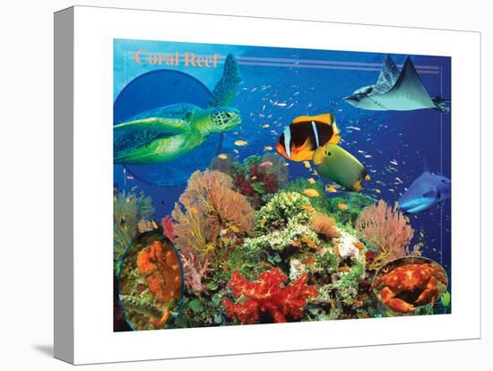 Coral Reef-Encyclopaedia Britannica-Stretched Canvas