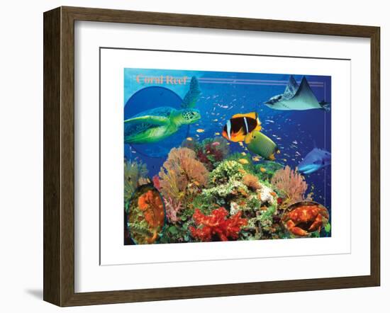 Coral Reef-Encyclopaedia Britannica-Framed Art Print