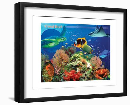 Coral Reef-Encyclopaedia Britannica-Framed Art Print