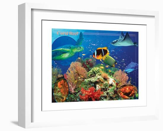 Coral Reef-Encyclopaedia Britannica-Framed Art Print