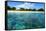 Coral Reefs in a Shallow Sea Situated Very close to a Sandy Beach at Sunny Day. Bali Barat National-Dudarev Mikhail-Framed Stretched Canvas