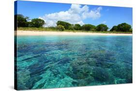 Coral Reefs in a Shallow Sea Situated Very close to a Sandy Beach at Sunny Day. Bali Barat National-Dudarev Mikhail-Stretched Canvas