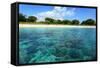 Coral Reefs in a Shallow Sea Situated Very close to a Sandy Beach at Sunny Day. Bali Barat National-Dudarev Mikhail-Framed Stretched Canvas