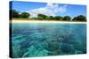 Coral Reefs in a Shallow Sea Situated Very close to a Sandy Beach at Sunny Day. Bali Barat National-Dudarev Mikhail-Stretched Canvas