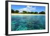 Coral Reefs in a Shallow Sea Situated Very close to a Sandy Beach at Sunny Day. Bali Barat National-Dudarev Mikhail-Framed Photographic Print