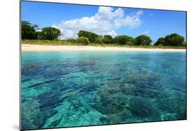 Coral Reefs in a Shallow Sea Situated Very close to a Sandy Beach at Sunny Day. Bali Barat National-Dudarev Mikhail-Mounted Photographic Print