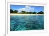 Coral Reefs in a Shallow Sea Situated Very close to a Sandy Beach at Sunny Day. Bali Barat National-Dudarev Mikhail-Framed Photographic Print