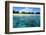 Coral Reefs in a Shallow Sea Situated Very close to a Sandy Beach at Sunny Day. Bali Barat National-Dudarev Mikhail-Framed Photographic Print