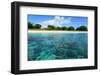 Coral Reefs in a Shallow Sea Situated Very close to a Sandy Beach at Sunny Day. Bali Barat National-Dudarev Mikhail-Framed Photographic Print