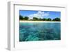 Coral Reefs in a Shallow Sea Situated Very close to a Sandy Beach at Sunny Day. Bali Barat National-Dudarev Mikhail-Framed Photographic Print