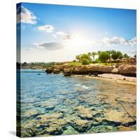 Coral Reefs on the Beach Near Hotel-Givaga-Stretched Canvas