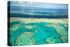 Coral River II-Larry Malvin-Stretched Canvas