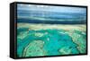 Coral River II-Larry Malvin-Framed Stretched Canvas