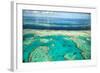 Coral River II-Larry Malvin-Framed Photographic Print