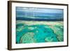 Coral River II-Larry Malvin-Framed Photographic Print