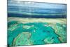 Coral River II-Larry Malvin-Mounted Photographic Print