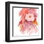 Coral Rose-Sheila Golden-Framed Art Print