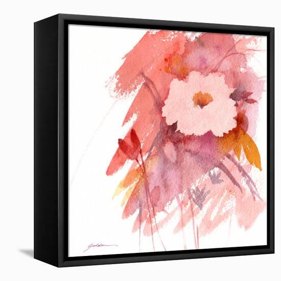 Coral Rose-Sheila Golden-Framed Stretched Canvas