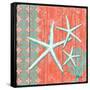 Coral Sea III-Paul Brent-Framed Stretched Canvas