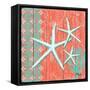 Coral Sea III-Paul Brent-Framed Stretched Canvas