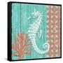 Coral Sea IV-Paul Brent-Framed Stretched Canvas