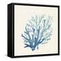 Coral Shades 2-Allen Kimberly-Framed Stretched Canvas