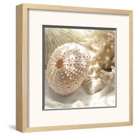 Coral Shell I-Donna Geissler-Framed Art Print