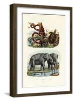 Coral Snake, 1833-39-null-Framed Giclee Print