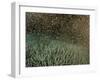 Coral Spawning-null-Framed Photographic Print